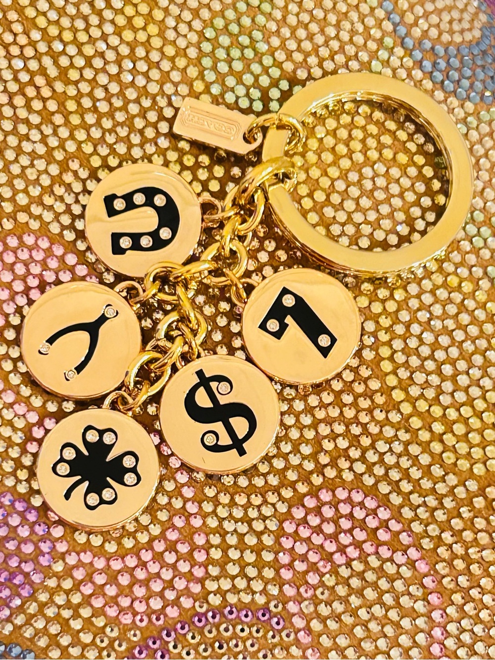 NWOT Coach Y2K Lucky Charm Keychain/ Bag Charm